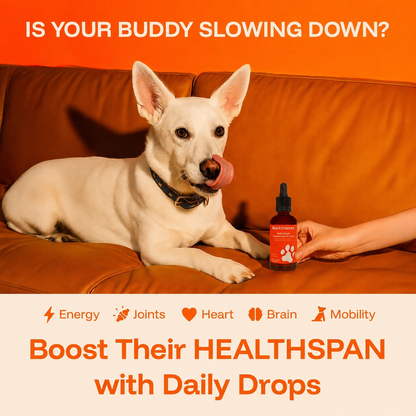 Barktrients GoodYears™ Longevity Drops