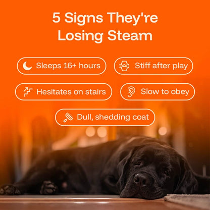 Barktrients GoodYears™ Longevity Drops