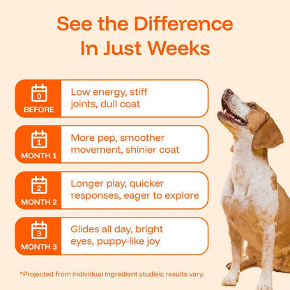 Barktrients GoodYears™ Longevity Drops