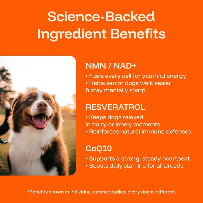 Barktrients GoodYears™ Longevity Drops