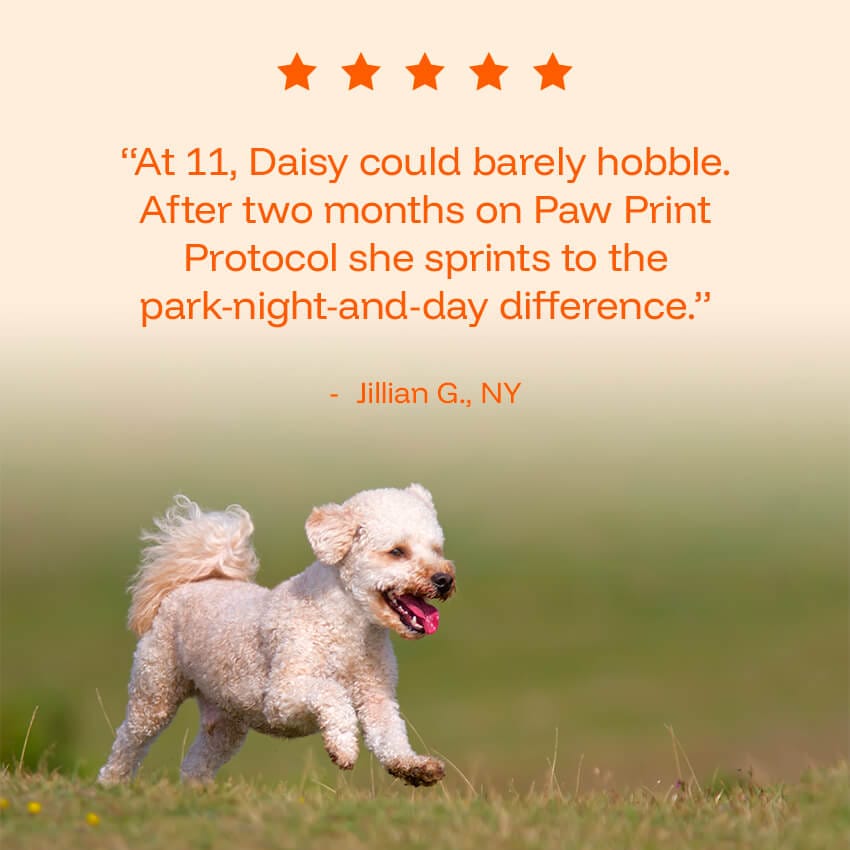 Barktrients GoodYears™ Longevity Drops