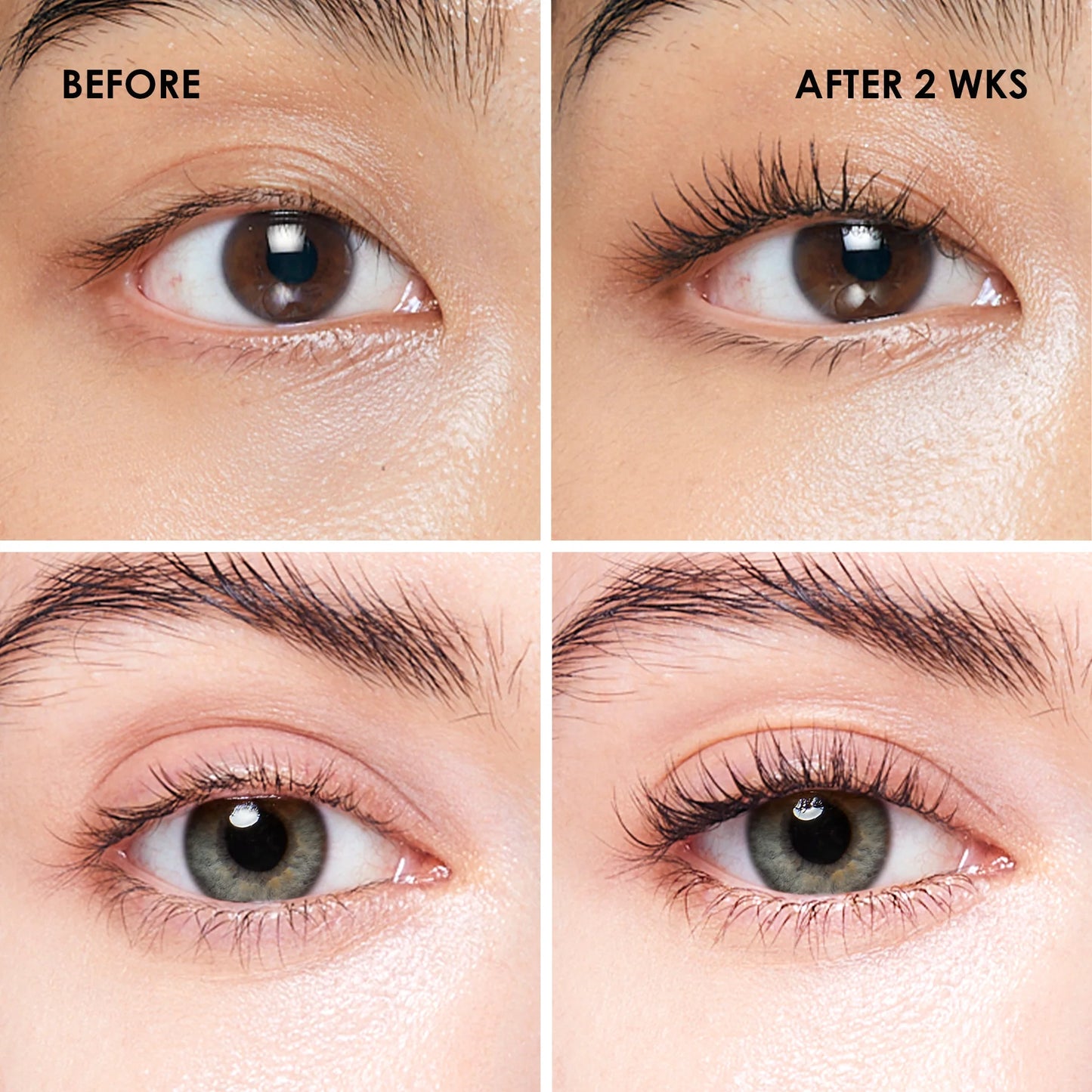 Black Lash Serum